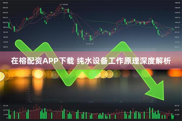 在榕配资APP下载 纯水设备工作原理深度解析