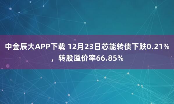 中金辰大APP下载 12月23日芯能转债下跌0.21%，转股溢价率66.85%