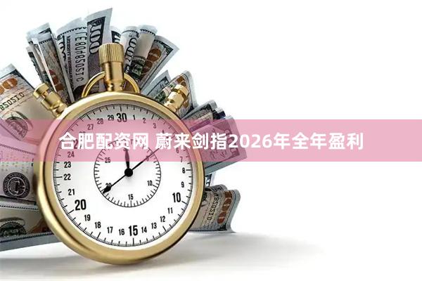 合肥配资网 蔚来剑指2026年全年盈利