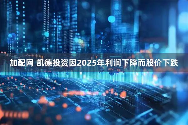 加配网 凯德投资因2025年利润下降而股价下跌