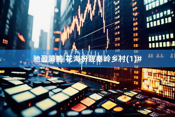 驰盈策略 花海扮靓秦岭乡村(1)#
